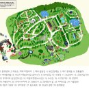 동백자연에너지 | 동백꽃 향기 속에 머무는 시간, 제주 카멜리아힐에서 찾은 붉은빛 위로와 여유 [제주여행]