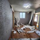 도담약품 | [원주도배_도담장식] 횡성 도배 장판 시공 후기｜곰팡이 약품처리 후 깔끔하게 복구한 현장