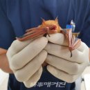 전라남도야생동물구조관리센터 이미지