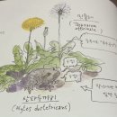 거니는집 이미지