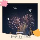 도담버블파티 | 전주 근교 물놀이, 밤이 더 화려한 완주 아마존아쿠아파크 야간권 입장 후기 feat)불꽃놀이