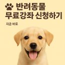 펫푸드교실 이미지