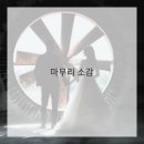 소나무경영컨설팅