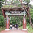 신덕11호 | 100대 명산 용문산 포토기행