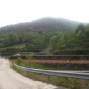 남강공인중개사사무소 이미지