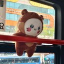 써니 크리닝 이미지