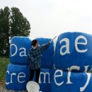 6월의 목장 이미지