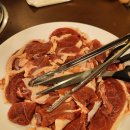 낙동생오리 이미지