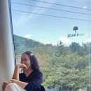 전진목장 이미지