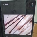 모리바이브리버스