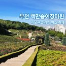 도당어울마당 | 무료인데 이 퀄리티? 6천평 부천 백만송이 장미원 주차 정보 꿀팁