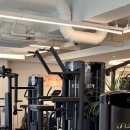 스페셜바디 레이디 이미지