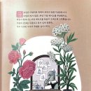 케이크다람쥐 이미지