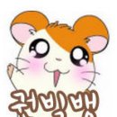 쏘쿨수학