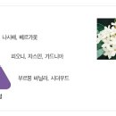 루나블라썸 이미지