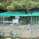 자연과 함께 놀며 배우는 강화 시리미자연놀이체험장 이용 팁, 준비물