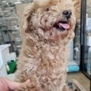 오도독뽀도독 이미지