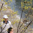 오늘의 포토뉴스[08/03/20] 이미지