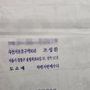자전거보호구역8142