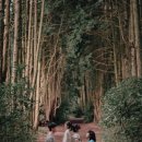 소낭 게스트하우스 이미지