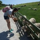 한별목장 이미지