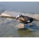 옥암성당 이미지