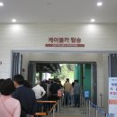 하동 플라이웨이 케이블카 이미지
