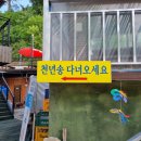 뱀사골특산품 이미지