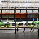 써던크로스 이미지