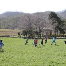 사랑목장 이미지