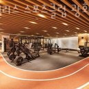 시티스포츠클럽 이미지