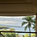 대빵하우스 | [하와이 신혼여행] 4일차 : 빅아일랜드에서 오아후로/쉐라톤와이키키/야드하우스