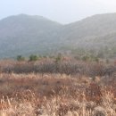 부메랑 이미지