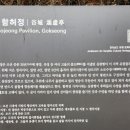 입면메밀 이미지