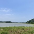 철원 애견 이미지