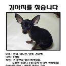 남현파출소 이미지