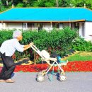 자연의 품 이미지