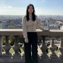 ORR 오르 스프링 울 가디건(브이넥) 베이지 M 사이즈 후기