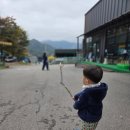 알멕스 | 키즈캠핑장 추천 및 후기/연천 알멕스랜드/홍천 세이지힐/제천 선녀와나무꾼/포천 대회산캠핑장