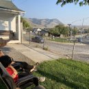 맘모스주유소 이미지