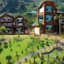 그린티하우스 이미지