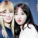 모모E 이미지