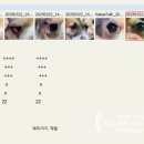 라파엘 동물병원 이미지