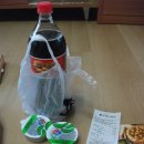 도미노피자(마산내서점) 이미지