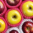 금당골농장 이미지