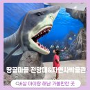 땅끝해양자연사박물관 | 6세 아이랑 해남여행 땅끝마을 전망대, 자연사박물관 후기