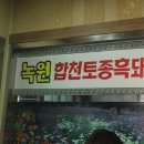 고령고기집