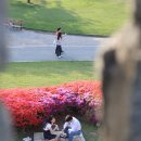 [화성시민대학] 떠나고 싶을 때 떠나는 자유여행기술 | [수원여행]감성의 차이가 성군과 폭군을 만들었다_수원화성