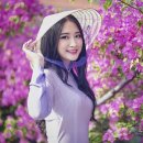 중국국제행정사사무소 이미지