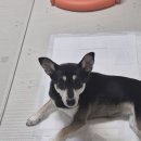 노라